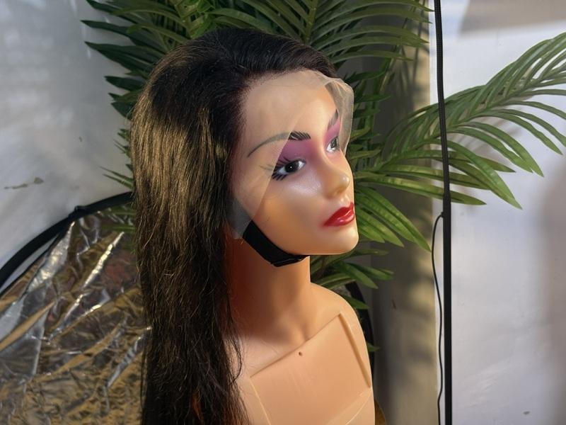Straight Human Hair Wig